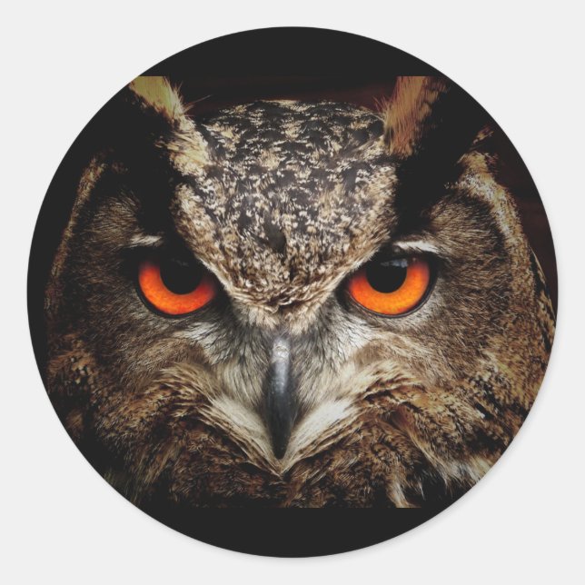 Owl with Yellow eyes Round Sticker (Front)