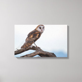 Owl Wrapped Canvas