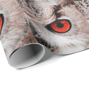 Owl Wrapping Paper