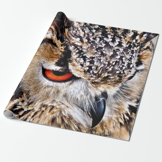 OWL WRAPPING PAPER (Unrolled)
