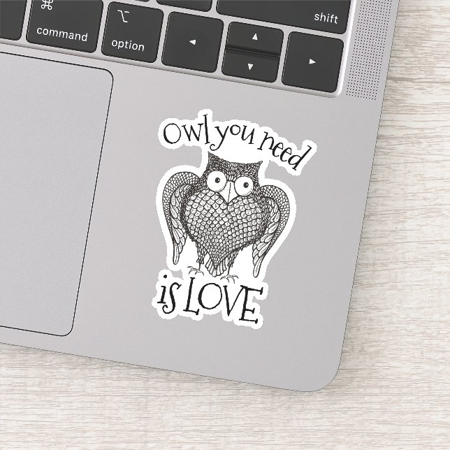 Owl you Need (Detail)