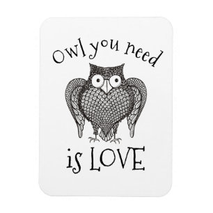 Owl you Need Magnet