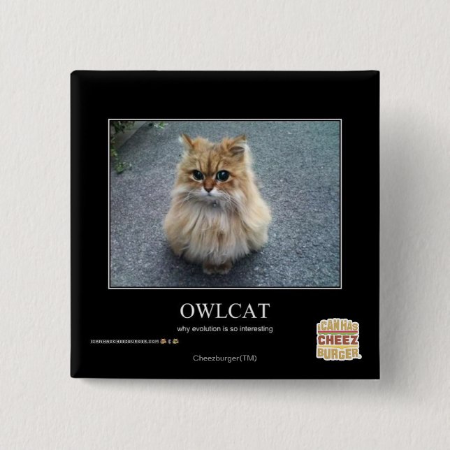 Owlcat 2 Inch Square Button (Front)