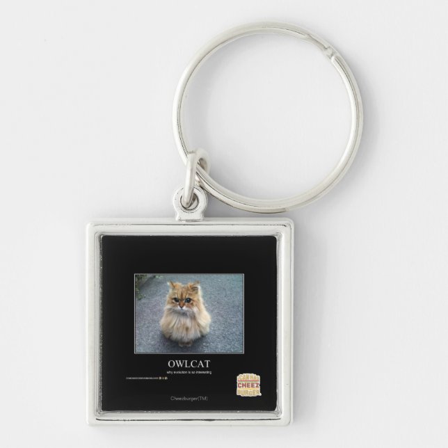 Owlcat Keychain (Front)