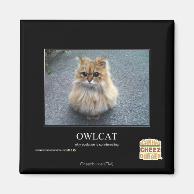 Owlcat Magnet (Front)