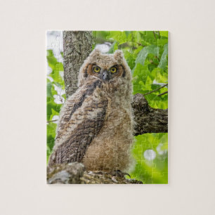 Owlet Jigsaw Puzzle