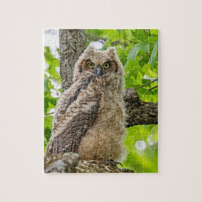 Owlet Jigsaw Puzzle (Vertical)