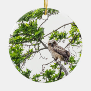 Owlet On A Maple Tree Branch Ceramic Ornament