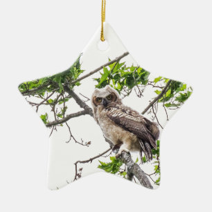 Owlet On A Maple Tree Branch Ceramic Ornament