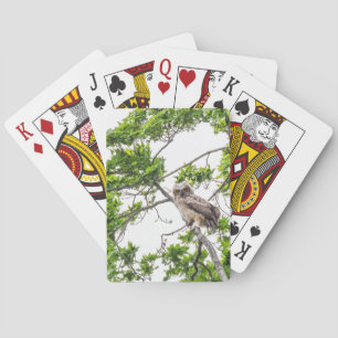 Owlet On A Maple Tree Branch  Playing Cards