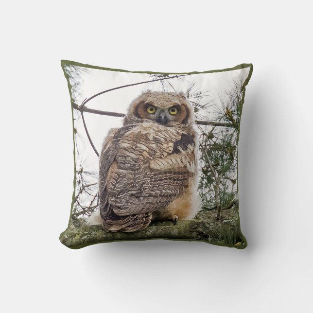 Owlet On A Pine Branch  Throw Pillow (Front)