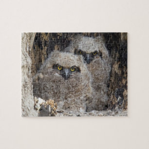 Owlets Jigsaw Puzzle