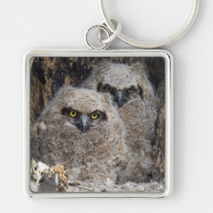 Owlets Keychain