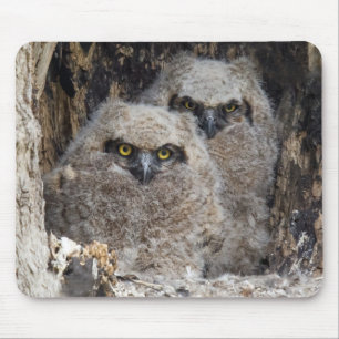 Owlets Mouse Pad