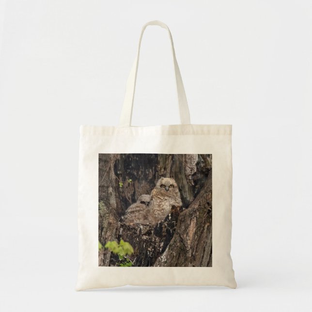 Owlets Tote Bag (Front)