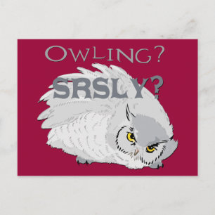 Owling Seriously Postcard
