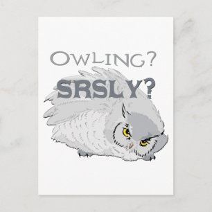 Owling Seriously Postcard