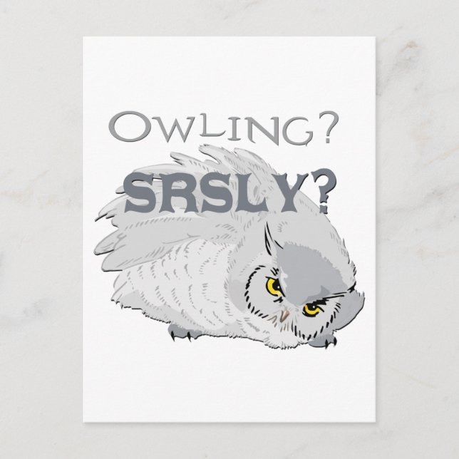 Owling Seriously Postcard (Front)