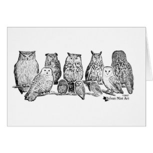 Owls
