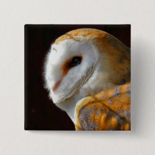 OWLS 2 INCH SQUARE BUTTON