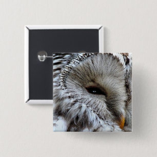 OWLS 2 INCH SQUARE BUTTON