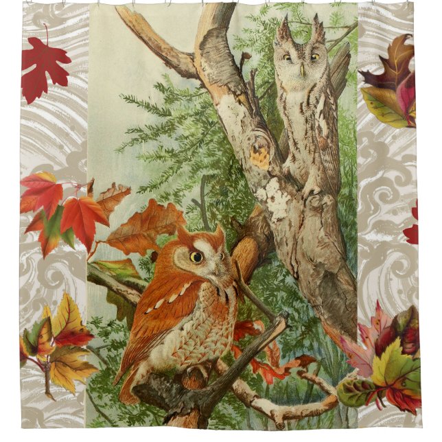 OWLS AMONG FALL LEAVES IN WOODLAND (Front)
