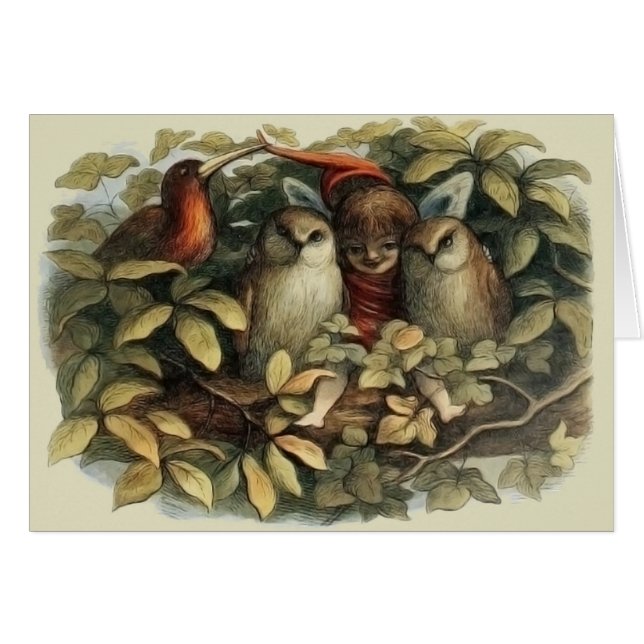 Owls and Elf Fairies Nature Illustration (Front Horizontal)