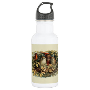 Owls and Elf Fairies Nature Illustration 532 Ml Water Bottle