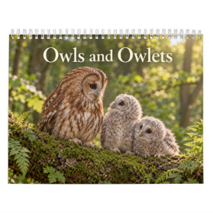 Owls and Owlets Wildlife Seasons Calendar