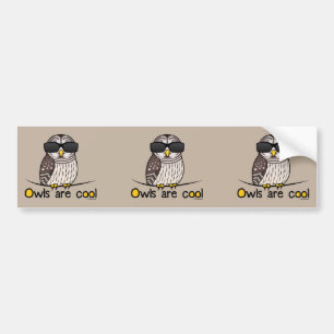 Owls are cool bumper sticker