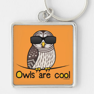 Owls are cool keychain