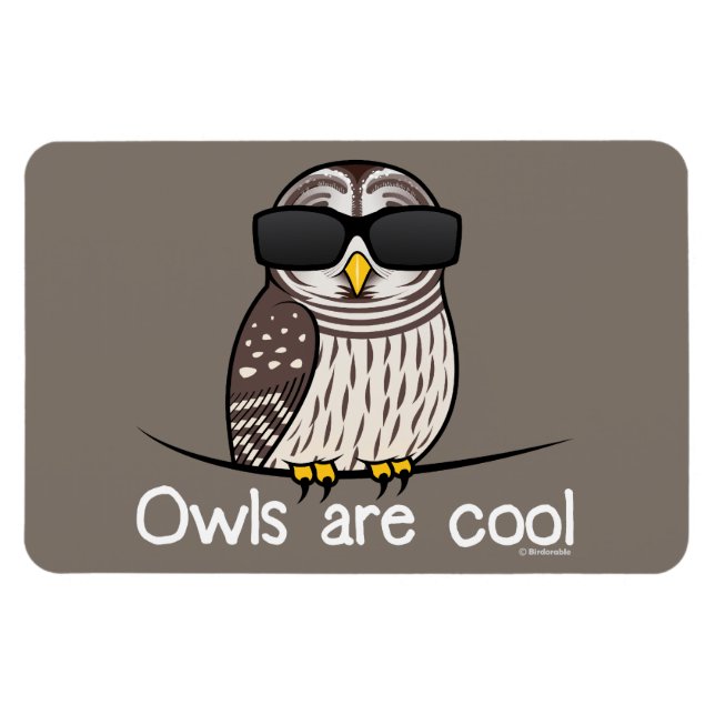 Owls are cool magnet (Horizontal)
