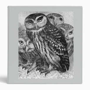 Owls Binder