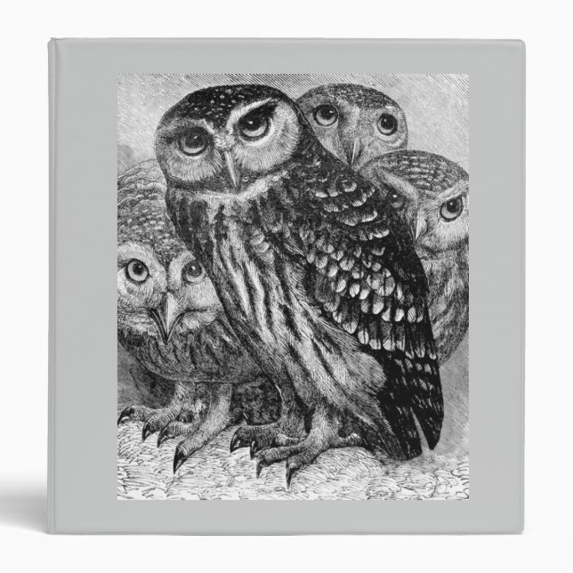Owls Binder (Front)