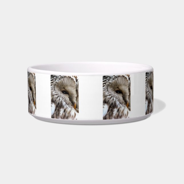 OWLS BOWL (Front)