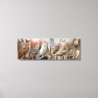 Owls Canvas Print
