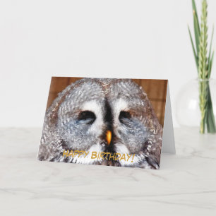 OWLS CARD