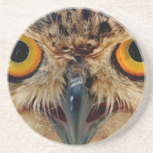 Owls Eyes Coaster