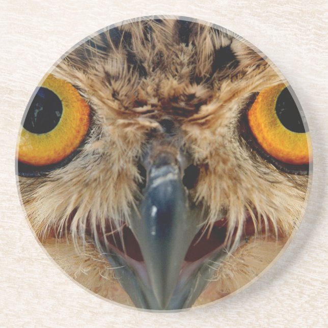 Owls Eyes Coaster (Front)