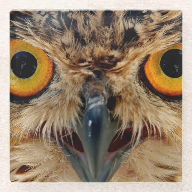 Owls Eyes Glass Coaster (Front)