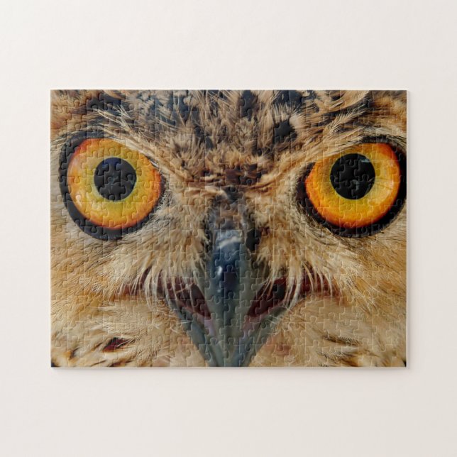 Owls Eyes Jigsaw Puzzle (Horizontal)