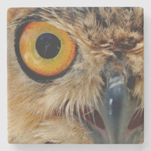Owls Eyes Stone Coaster