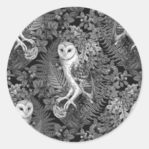 Owls, ferns, oak and berries 4 classic round sticker