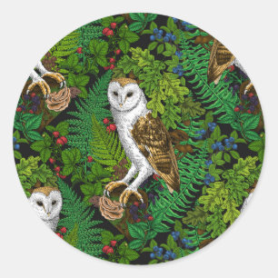 Owls, ferns, oak and berries classic round sticker