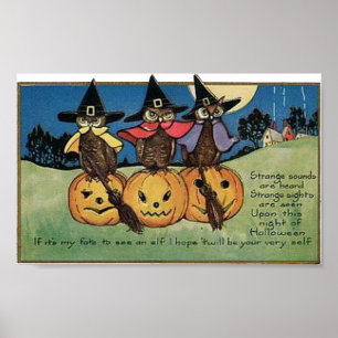 Owls in Witch Hats Poster