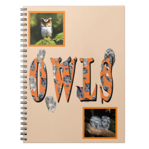 Owls Is The Name, Notebook