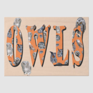 Owls Is The Name, Tissue Paper