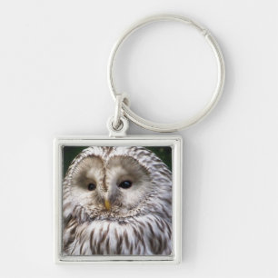 OWLS KEYCHAIN