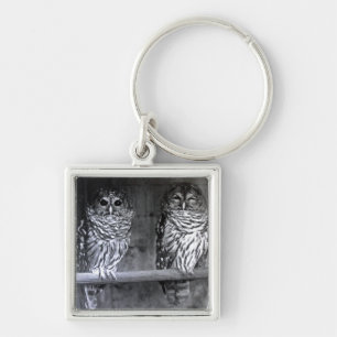 Owls Keychain