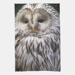 OWLS KITCHEN TOWEL